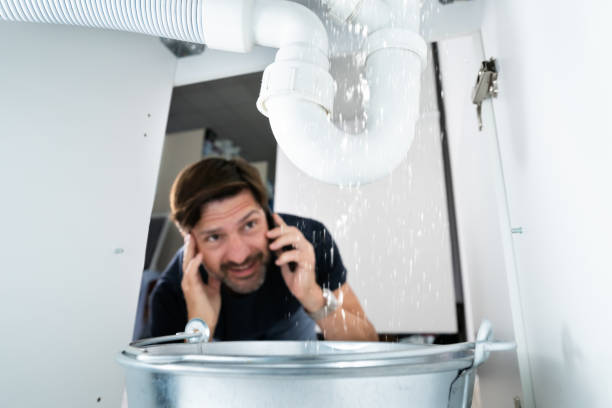 Best Plumbing Services Near Me  in Adamstown, MD